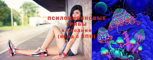 spice Балахна
