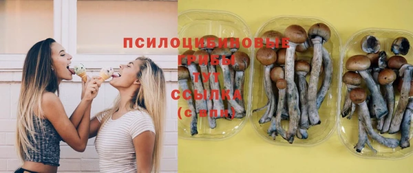 стаф Балабаново