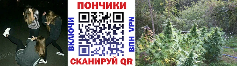 Конопля SATIVA & INDICA  MEGA ТОР  Богородск 
